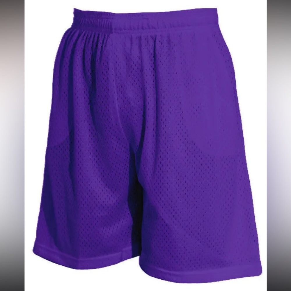 🩳 Men’s Mesh Basketball Shorts w/2 front pockets - Purple